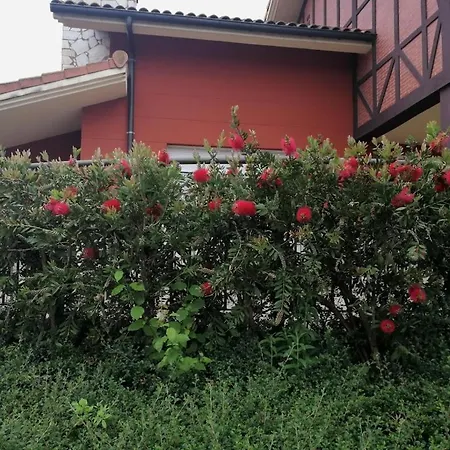 马达里安酒店 *